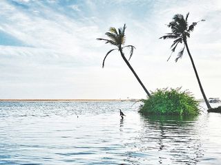 பூவார் கடற்கரைக்கு ஒரு பூரிப்பூட்டும் பயணம் போலாமா!
