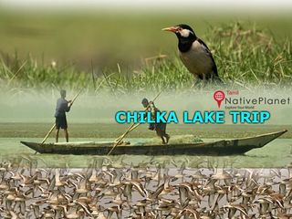 உலகின் மிக விசித்திரமான ஏரி இது! ஏன் தெரியுமா?