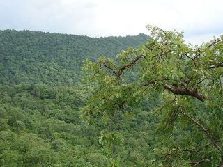 ஜஷ்பூர் அட்டாகாச மலைகளும் அழகு நீர்வீழ்ச்சிகளும்!