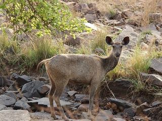 இந்த இடத்துல வைரங்கள் கொட்டிக் கிடக்குதாம்!