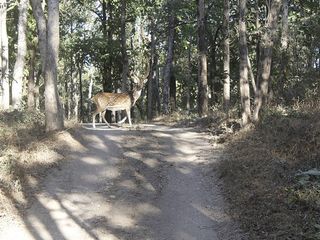 சியோனி சுற்றுலா - ஈர்க்கும் இடங்கள், செய்யவேண்டியவை மற்றும் எப்படி அடைவது