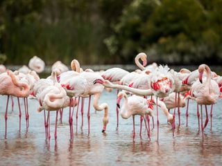 சென்னைக்கு மிக அருகில் இவ்வளவு அழகான சுற்றுலாத் தலங்களா இருக்கின்றன? என்னவென்று பாப்போம் வாருங்கள்!