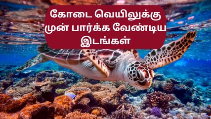 கோடை தொடங்குவதற்கு முன் தமிழ்நாட்டின் இந்த சுற்றுலாத் தலங்களுக்கு ஒரு ட்ரிப் பிளான் பண்ணுங்கள்!