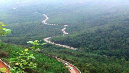இந்தியாவில் அடர்ந்த வனப்பகுதிகளைக் கொண்ட மாநிலங்கள் இவைகள் தான் - தமிழ்நாட்டின் நிலை என்ன தெரியுமா?