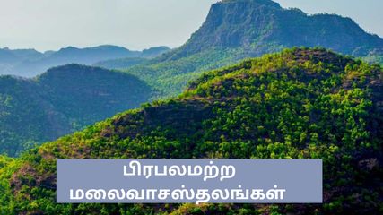 இனி ஊட்டி, கொடைக்கானலே வேண்டாம் – தமிழ்நாட்டின் இந்த மலைகளுக்கு ஒரு ட்ரிப் பிளான் பண்ணலாமே!