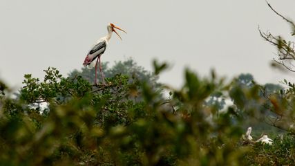 வார இறுதியில் சென்னையிலிருந்து இந்த சூப்பரான இடங்களுக்கு சுற்றுலா செல்லலாமே!
