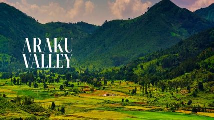 தமிழகத்திற்குள் மற்றும் தமிழகத்திற்கு அருகில் இருக்கும் அழகான பட்ஜெட் ஃபிரண்ட்லி தேனிலவு மலைவாசஸ்தலங்கள்!