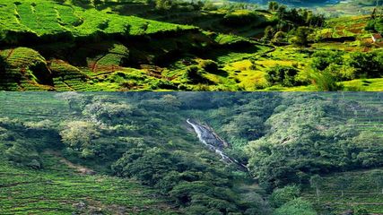 அடுத்த முறை ஊட்டிக்கு போனா இந்த அழகான இடத்துக்கு போக மிஸ் பண்ணிடாதீங்க!