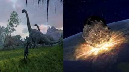 இது தான் டைனோசர்கள் வாழ்ந்த இடமாம் – உலகிலேயே பழமையான காடு இது தான்!