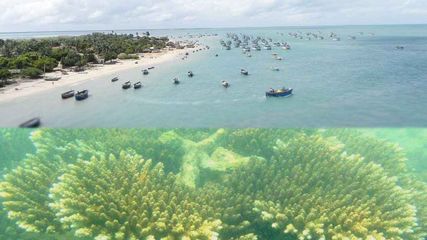 அந்தமான், மாலத்தீவை ஓரம் போக சொல்லுங்க – தமிழ்நாட்டின் இந்த தீவுக்கு ஒருமுறை போயிட்டு வாங்க!