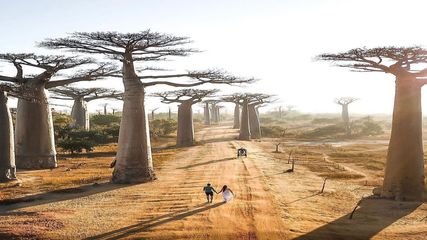 2050 வருஷம் வருறதுக்குள்ள உலகத்துல உள்ள இந்த அழகான இடங்கள் எல்லாம் கடலுக்குள்ள போயிடுமாம்!