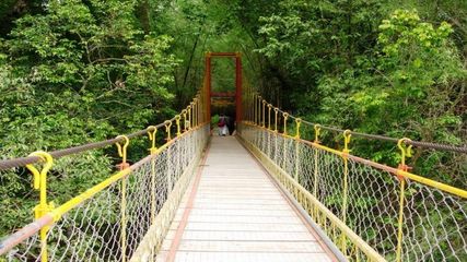 அடிக்கிற வெயிலுக்கு கம்மி பட்ஜெட்டில இந்த குளிர்ச்சியான மலைவாசஸ்தலங்களுக்கு ஒரு ட்ரிப் பிளான் பண்ணலாமா?