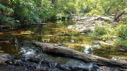 ஊட்டி, கொடைக்கானலை விடுங்க – சென்னைக்கு பக்கத்தில இருக்கிற இந்த ஹில் ஸ்டேஷன்களுக்கு ஒரு முறை போய் பாருங்க!
