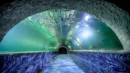 ஹாய் குட்டீஸ்... இந்த கோடைக்கு மீன் பிடிச்சு விளையாடலாம்?