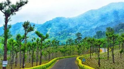 பெய்த மழையால் ஜில்லுன்னு இருக்கும் வால்பாறை - இப்போவே வால்பாறைக்கு ஒரு ட்ரிப் பிளான் பண்ணுங்க!