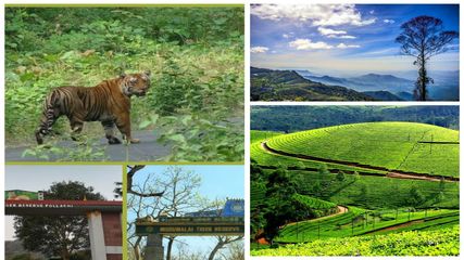 சுற்றுச்சூழலுக்கு உகந்த ஐந்து இடங்கள் தெரியும்?