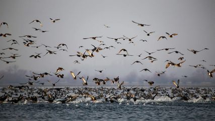 சென்னை ஈ.சி.ஆரில் பிரபலமாகும் புதிய இயற்கை சுற்றுலாத் தலங்கள் – 4 ஸ்பாட்டுகள் மக்களே!