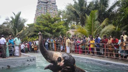 திருச்சியில் சென்று பார்க்க வேண்டிய வரலாற்று சிறப்புமிக்க ஏழு இடங்கள்