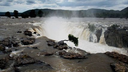 தமிழ்நாட்டில் நீங்கள் மிஸ் பண்ணக்கூடாத அழகான நீர்வீழ்ச்சிகள் இவை தான்!