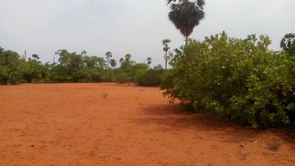 என்ன சொல்றீங்க...தமிழகத்தில் இவ்வளவு பெரிய பாலைவனமா? எங்குள்ளது தெரியுமா?