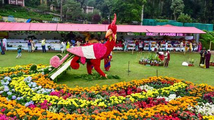 கொடைக்கானலில் சுற்றுலா வாகனங்களுக்கு புதிய கட்டுப்பாடு...இன்று முதல் அமல்