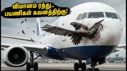 லண்டன் செல்லும் பிரிட்டிஷ் ஏர்வேஸ் விமானம் ரத்து.. சென்னை பயணிகள் கடும் அவதி! மாற்று வழி இதோ