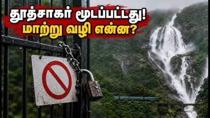 கோவாவின் தூத்சாகர் நீர்வீழ்ச்சிக்குத் தடை! சுற்றுலாப் பயணிகள் கவனத்திற்கு - மாற்று இடங்கள் இதோ!