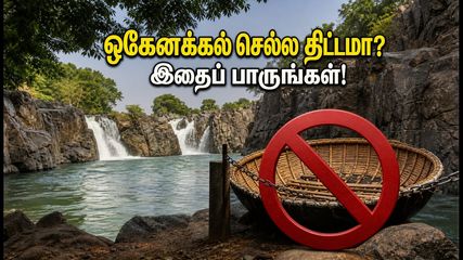 ஒகேனக்கல் சுற்றுலா செல்பவர்கள் கவனத்திற்கு! பரிசல் சவாரிக்கு தடை - இந்த வார இறுதியில் என்ன செய்யலாம்?