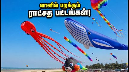 திருவிடந்தை கடற்கரையில் வானத்தை ஆளும் ராட்சத பட்டங்கள்! இந்த வார இறுதியில் குடும்பத்துடன் செல்லத் தயாரா?