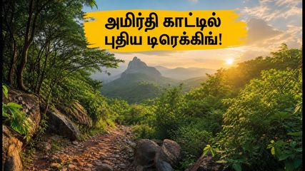 சென்னைவாசிகளே ரெடியா? வேலூர் அமிர்தி காட்டில் புதிய டிரெக்கிங் பாதை - இந்த வாரமே கிளம்பலாம்!