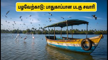 சென்னை அருகே ஒரு நாள் சுற்றுலா.. பழவேற்காடு ஏரியில் இனி பாதுகாப்பான படகு சவாரி!