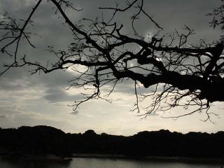 World Picnic Day 2021: Five Popular Picnic Places of Karnataka 