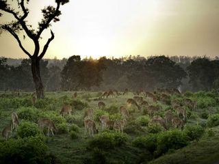 India beckons Ecotourism