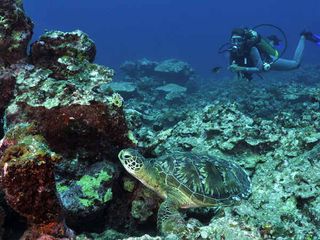 A Dive into The Secrets of Lakshadweep