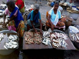 Weekend Trip: Bangalore-Kanyakumari
