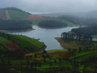 Trekking Nilgiris 