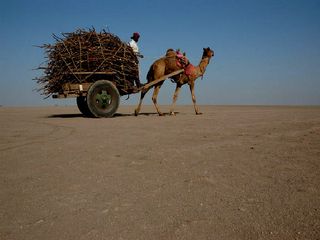 Thar : A Journey through the Desert 