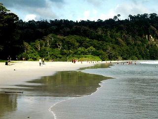 Radhanagar Beach: The Beauty of Havelock Island