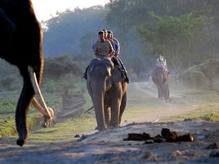 Venture through Wildlife in Assam!