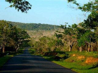 A Travel Itinerary: Hyderabad-Coorg-Ooty-Mysore-Hyderabad