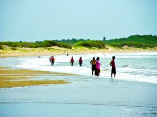 The Pristine Coastlines of Gujarat