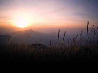 Coorg Overshines Munnar as the Top Tourist Spot!