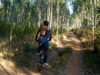 Bicycle Trails Around Bangalore