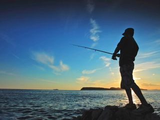 Things to do in Ooty!