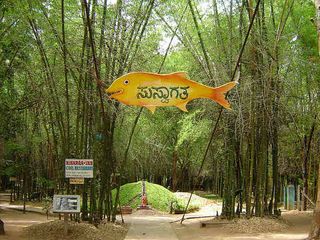 Weekend Getaway - Bangalore to Coorg 