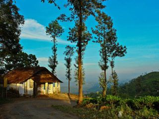 NOW is the Best Time to Visit Kerala!