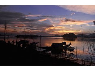 10 things Assam is famous for