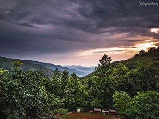 A Weekend Trip from Bangalore to Chikmagalur!