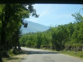 Road Trip from Delhi to Manali via Shimla