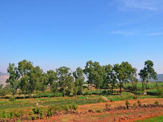 Sightseeing in Panchgani
